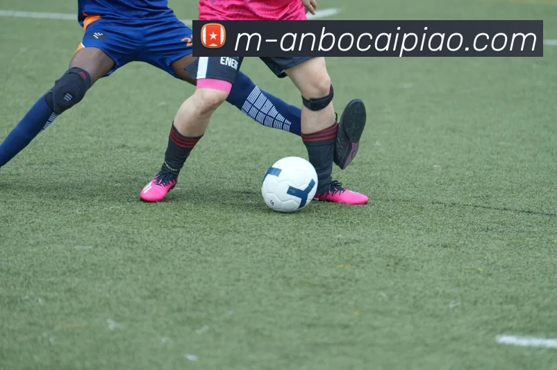 安博彩票平台生态图